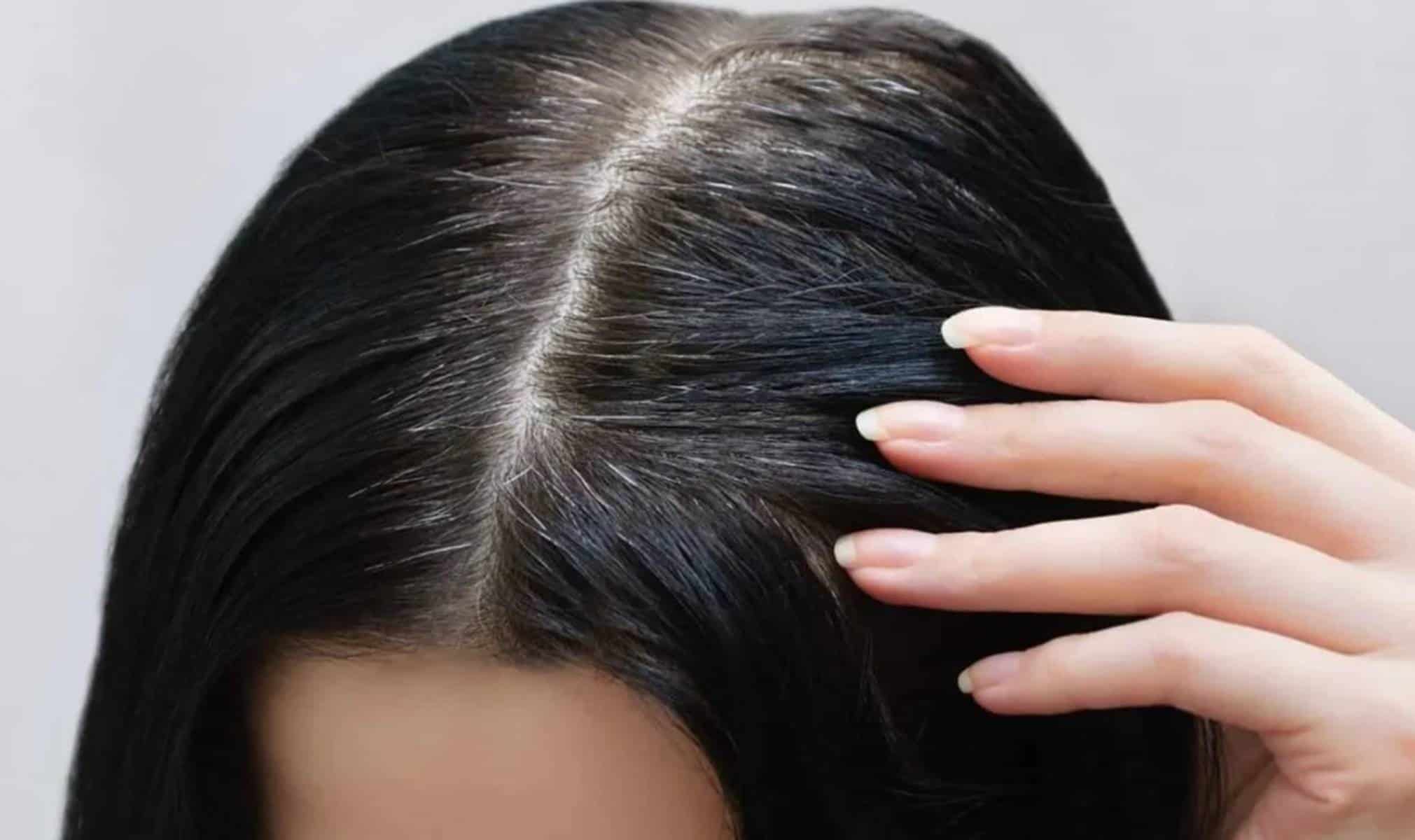 Faça a tinta natural mais poderosa para cobrir os grisalhos