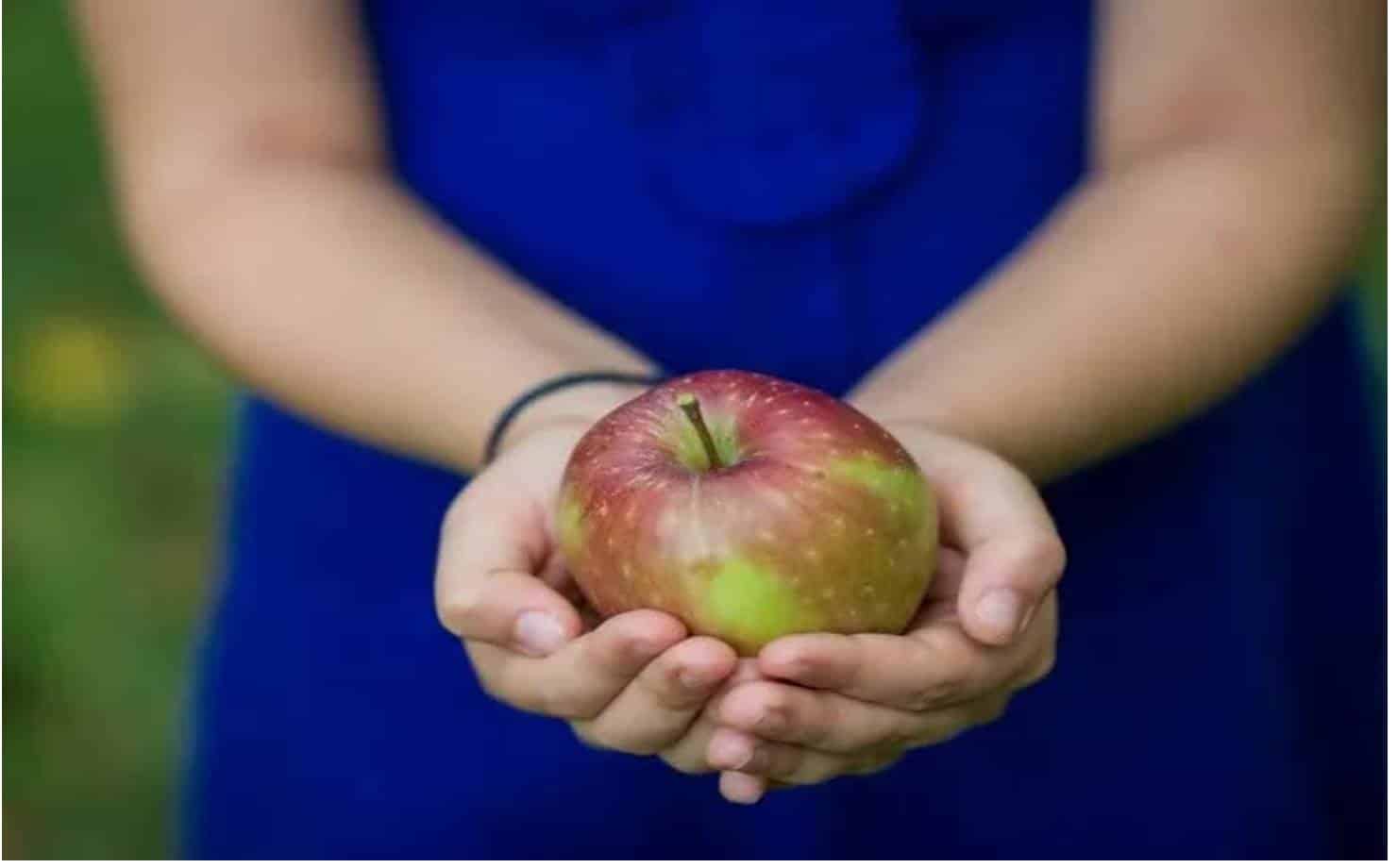 Por que você NÃO deve comer sementes de maçã?