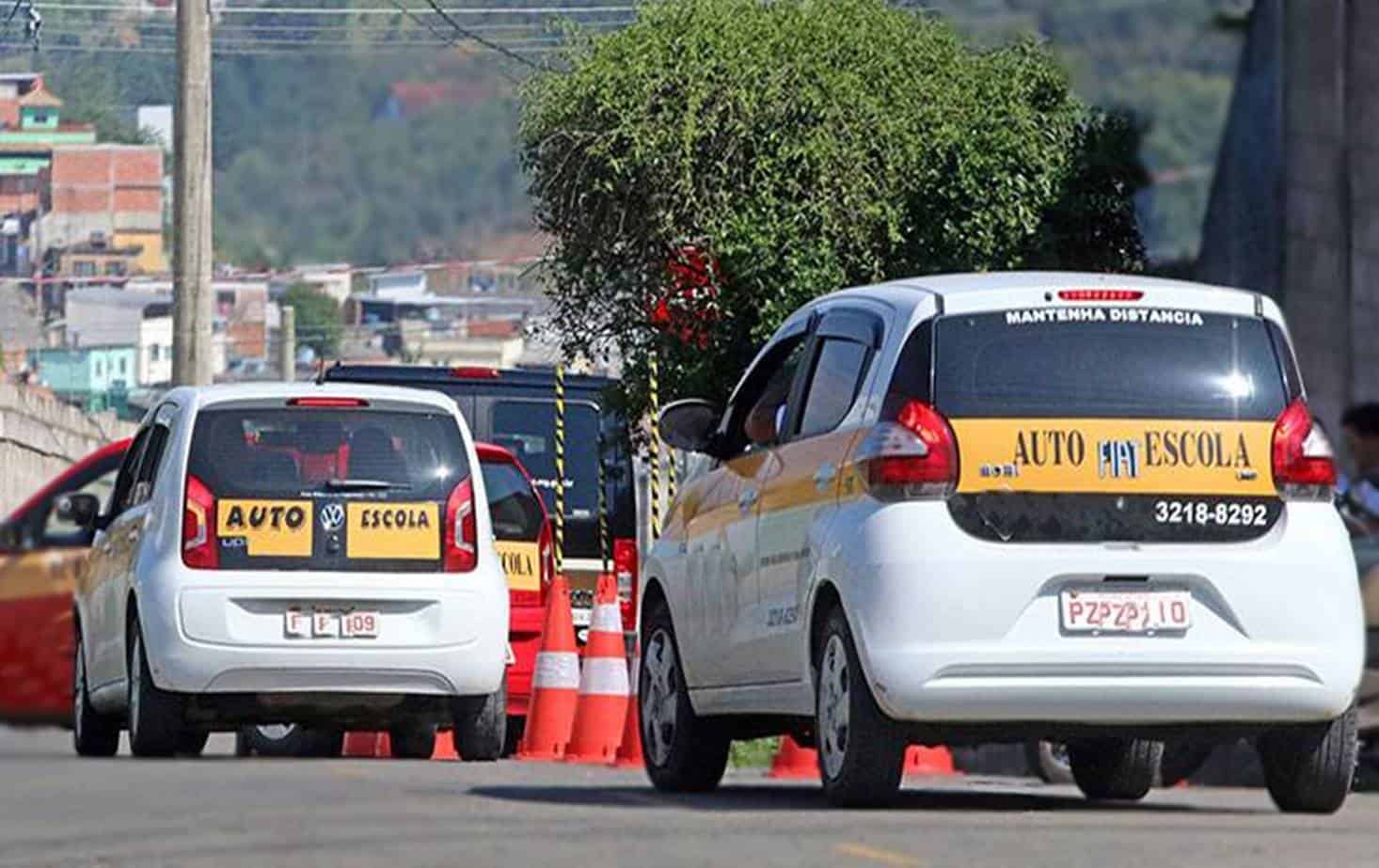 Quais estados oferecem CNH de graça para a população?