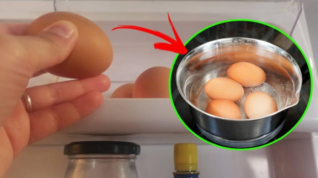Saiba POR QUE você deve deixar o ovo 5 MINUTOS fora da geladeira antes cozinhar