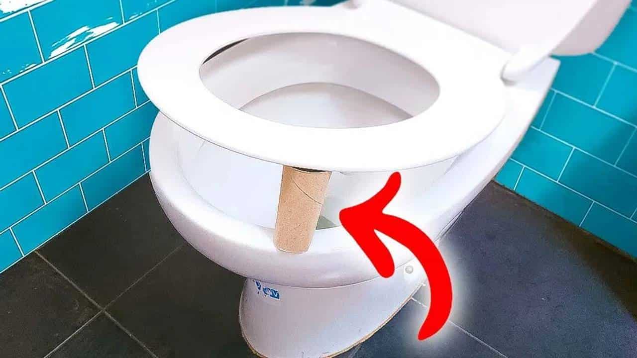 TODO MUNDO está falando sobre o ROLO DE PAPEL embaixo da tampa do vaso sanitário