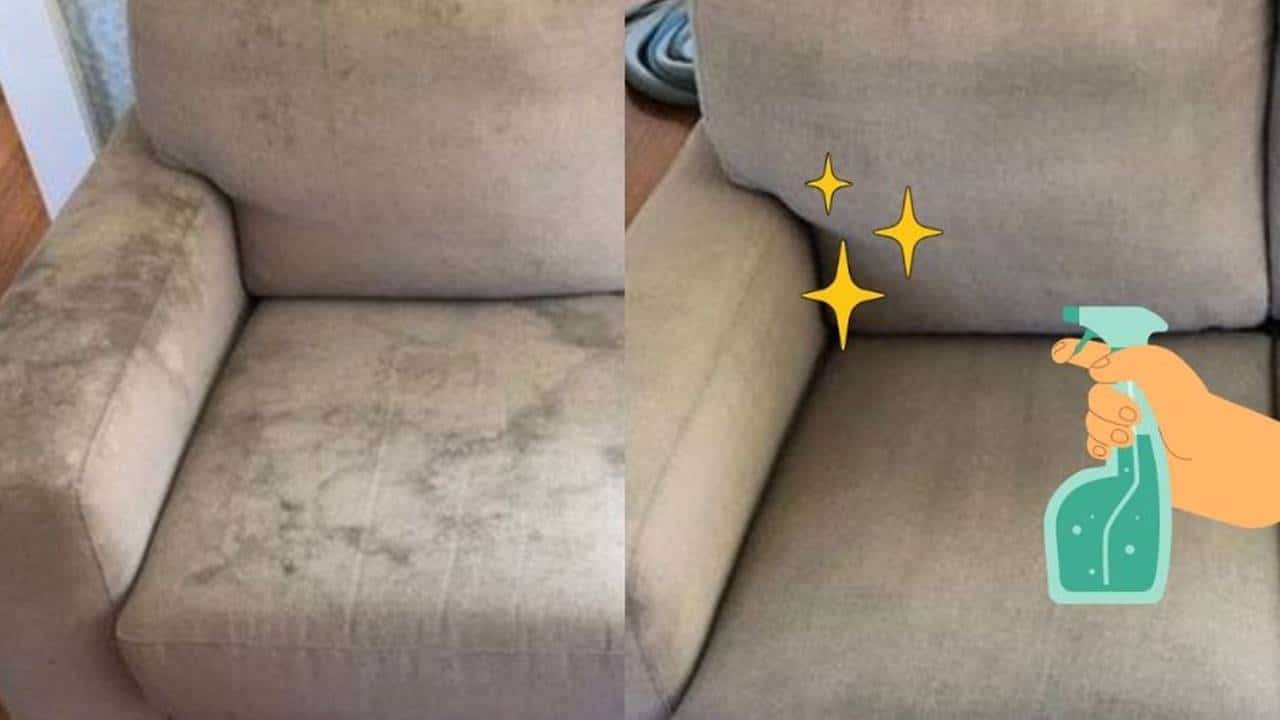 SEU SOFÁ FICARÁ NOVO DE NOVO: veja 3 métodos potentes para tirar manchas