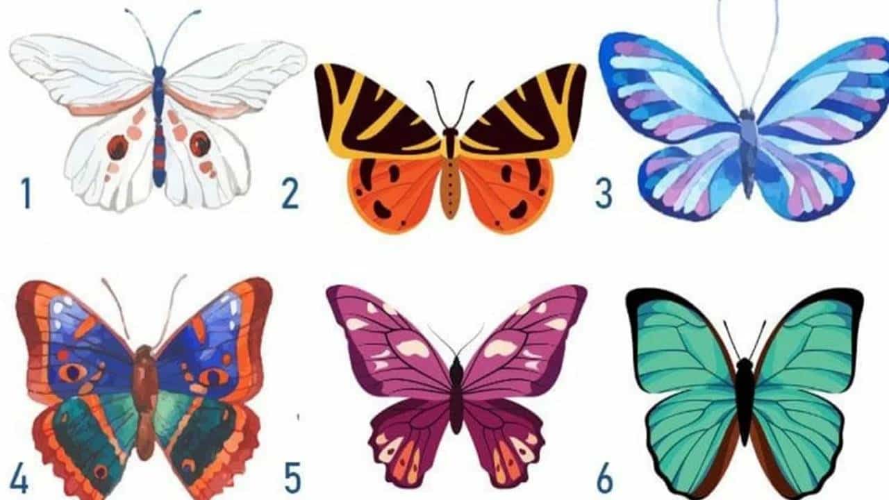 ESCOLHA uma borboleta e você se conhecerá melhor fazendo este teste de personalidade