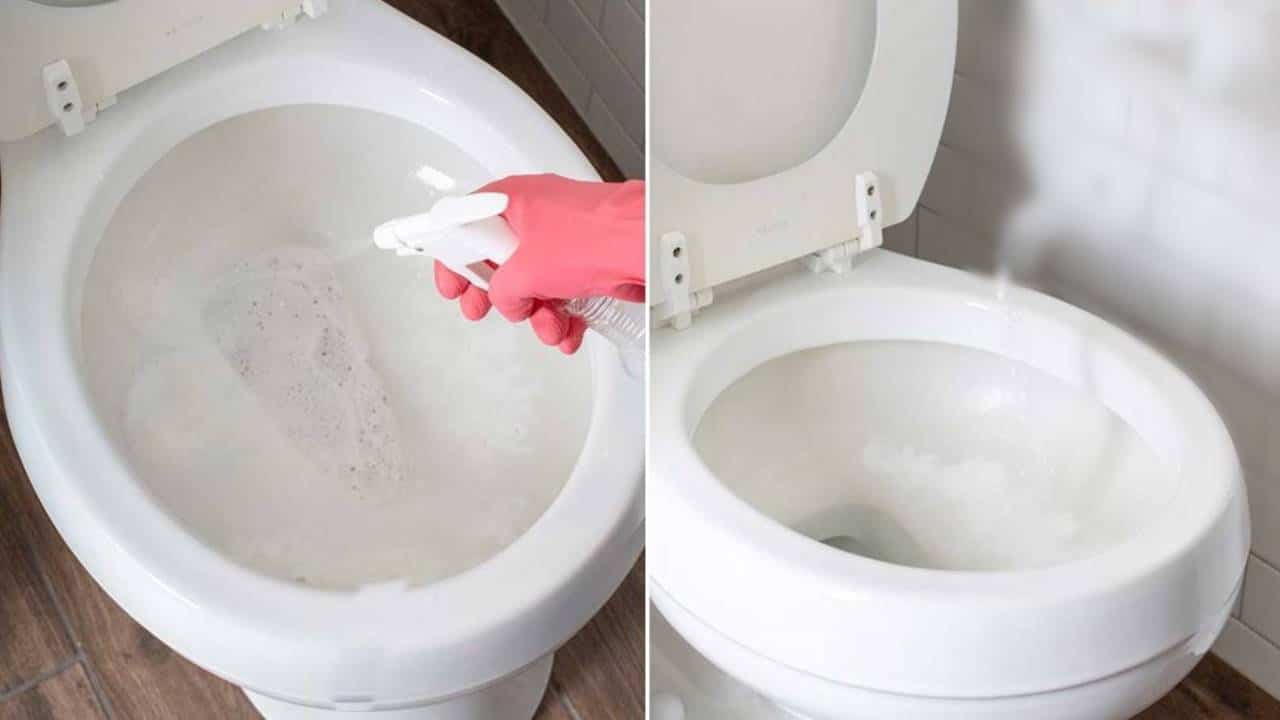 Ingrediente SECRETO potente e barato aumenta limpeza do vaso sanitário e pode ser usando na cozinha
