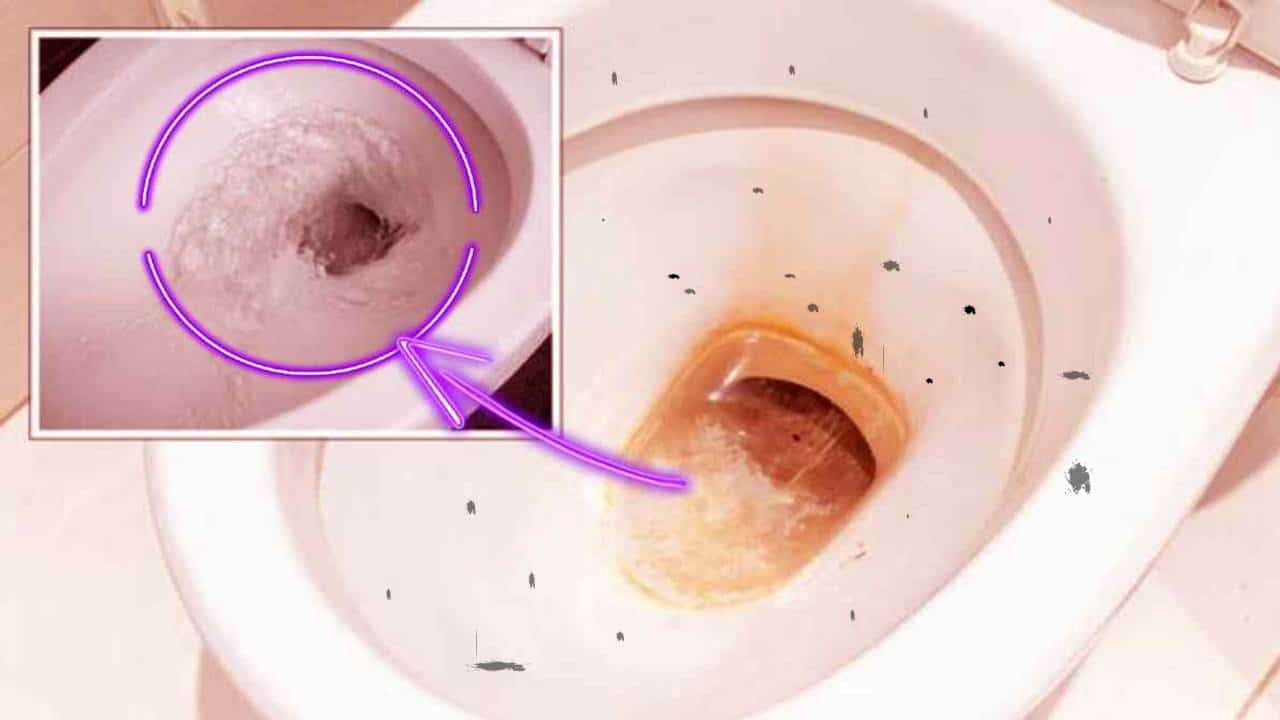 COMO remover efetivamente toda sujeira do fundo do vaso sanitário?