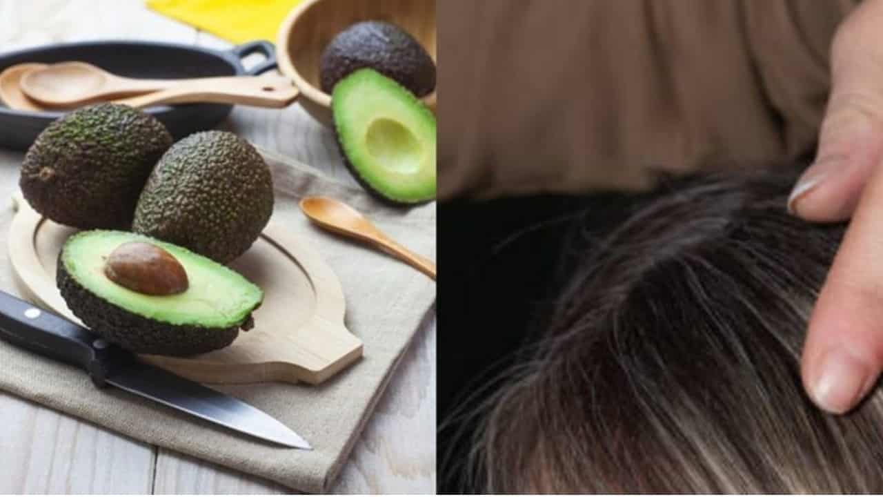 Prepare uma tintura natural para cobrir os cabelos grisalhos com caroço de abacate