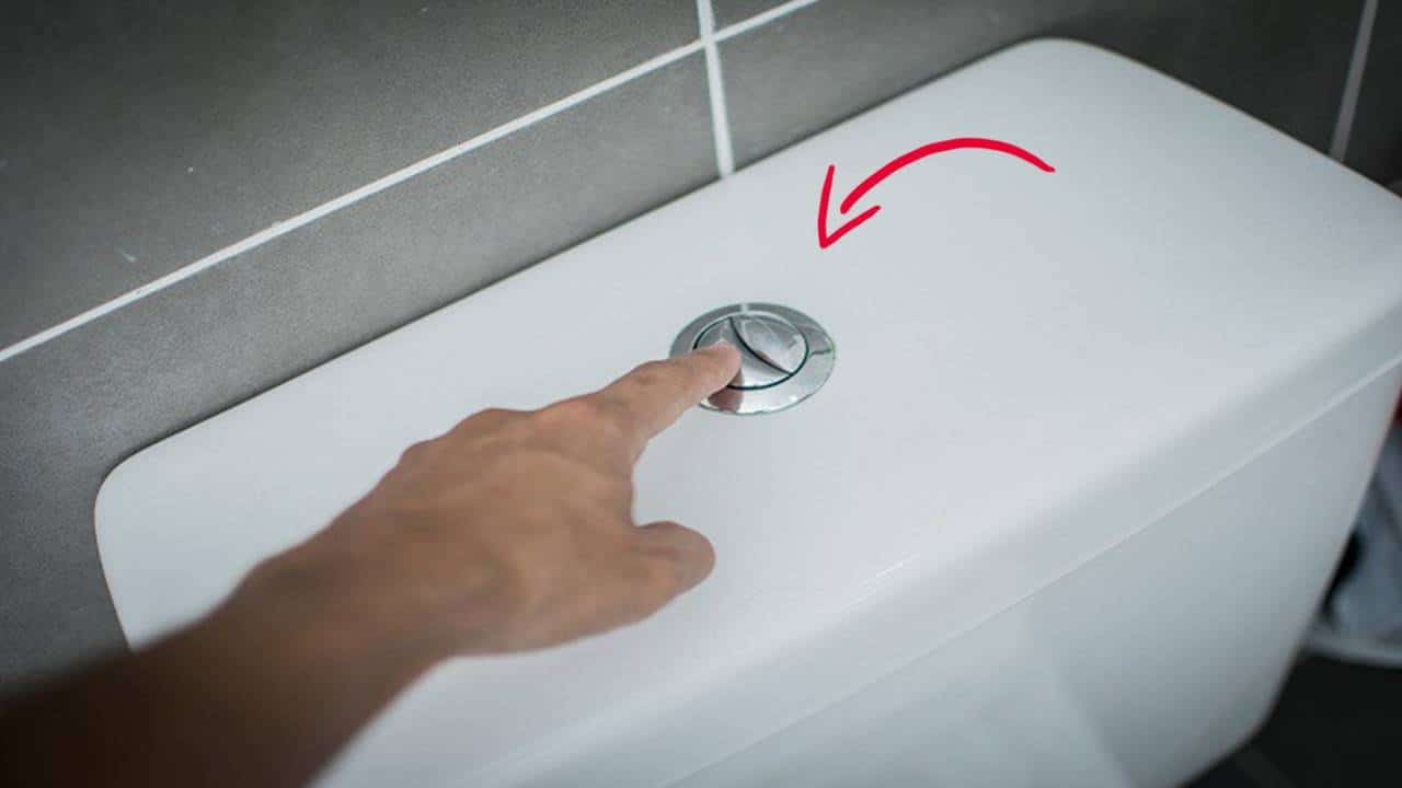 É POR ISSO que algumas descargas tem tem dois botões: um grande e um pequeno!