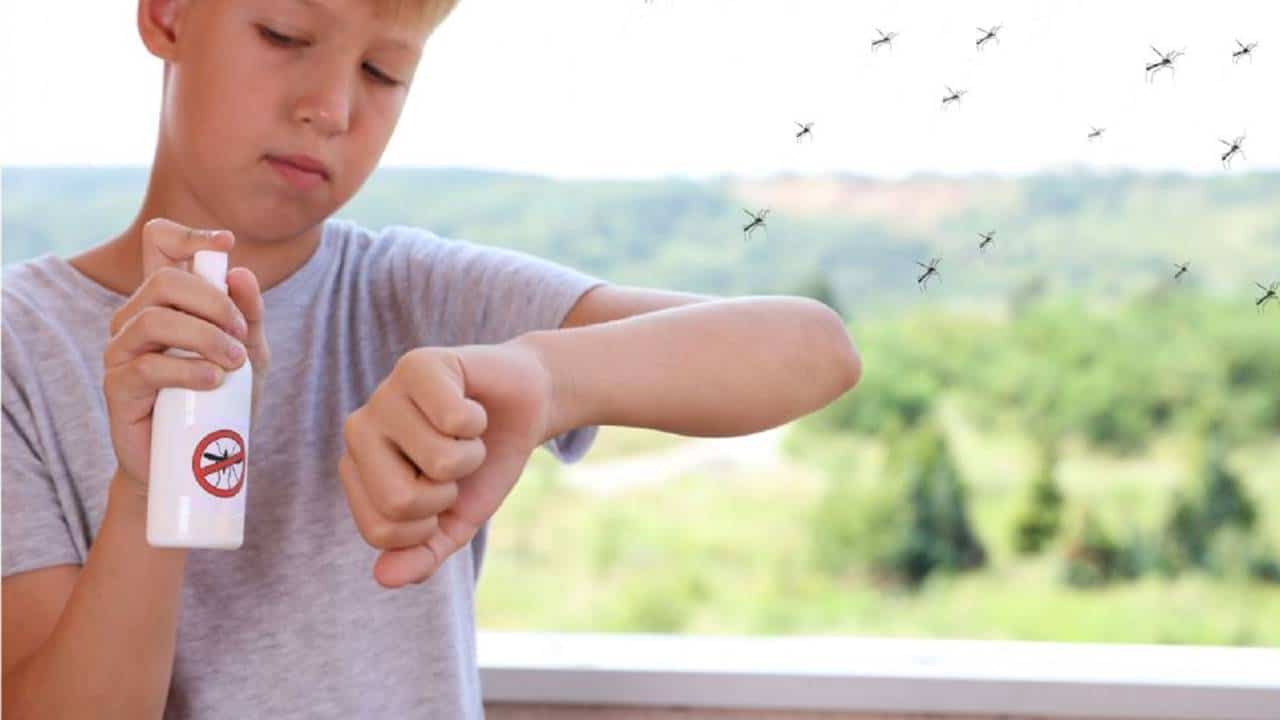 Prepare O MELHOR repelente natural e diga adeus aos mosquitos irritantes