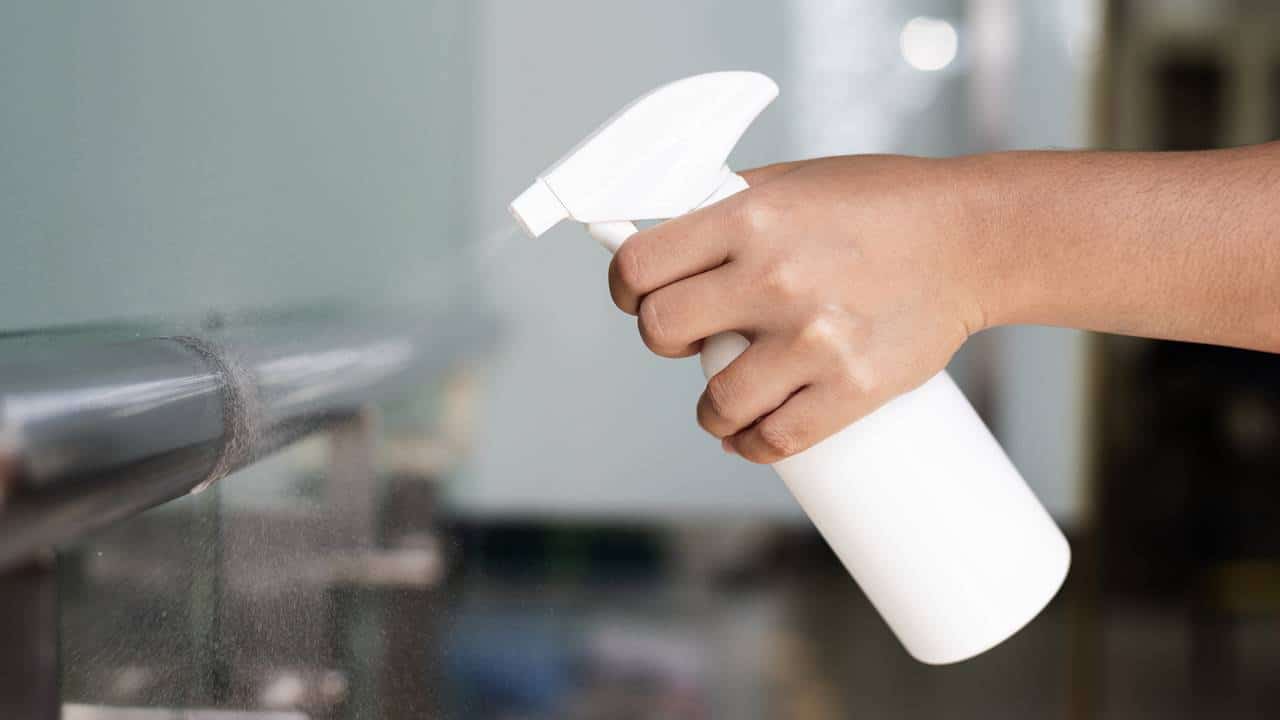 Repelentes caseiros: 3 alimentos para se livrar das moscas na cozinha