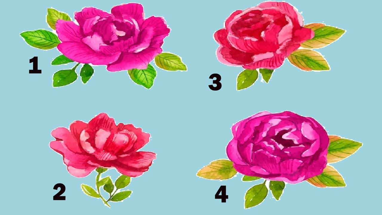 ESCOLHA uma flor do TESTE MENTAL e saiba como enfrentar seu maior medo?