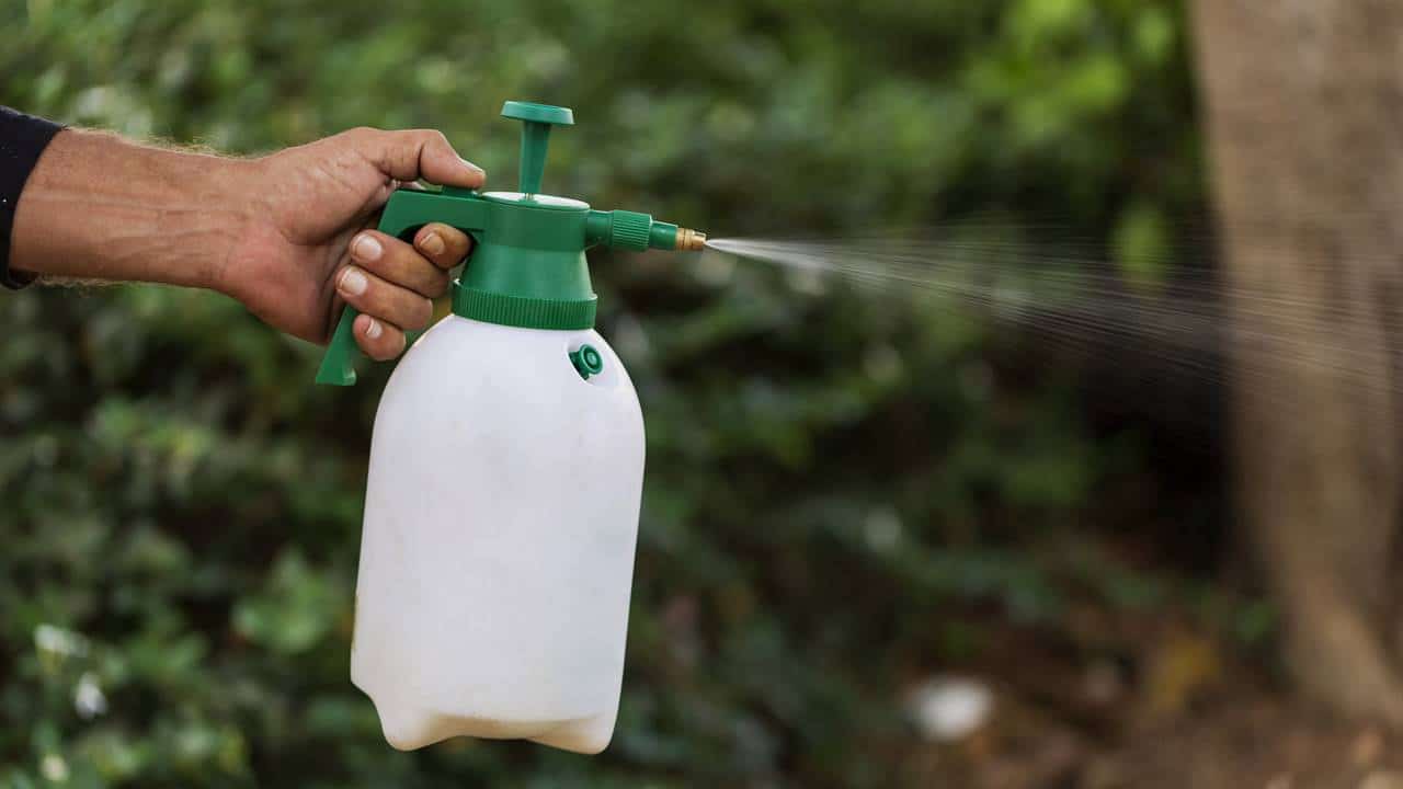 Como fazer um Herbicida Caseiro PODEROSO com Vinagre Branco que realmente funcione