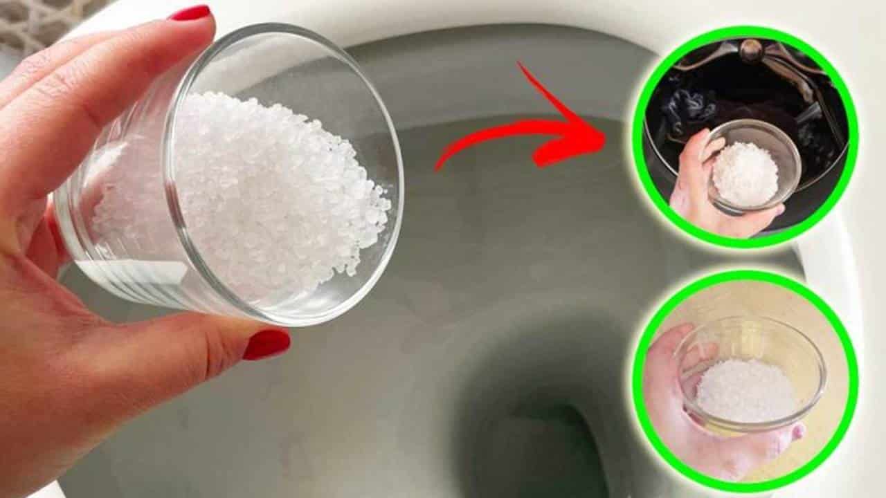 Por que você deve usar 100 gramas de sal no seu VASO SANITÁRIO?