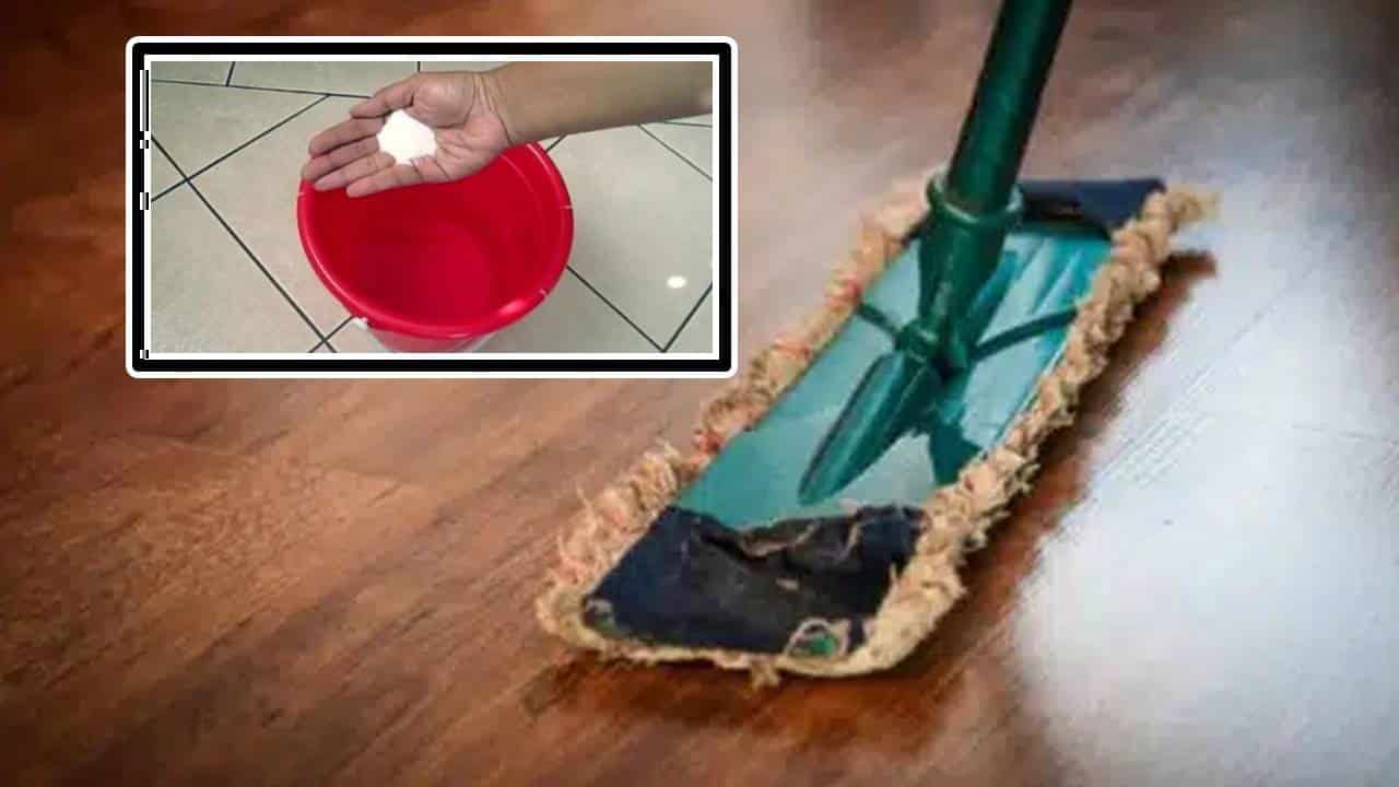 Elimine os maus odores da sua casa