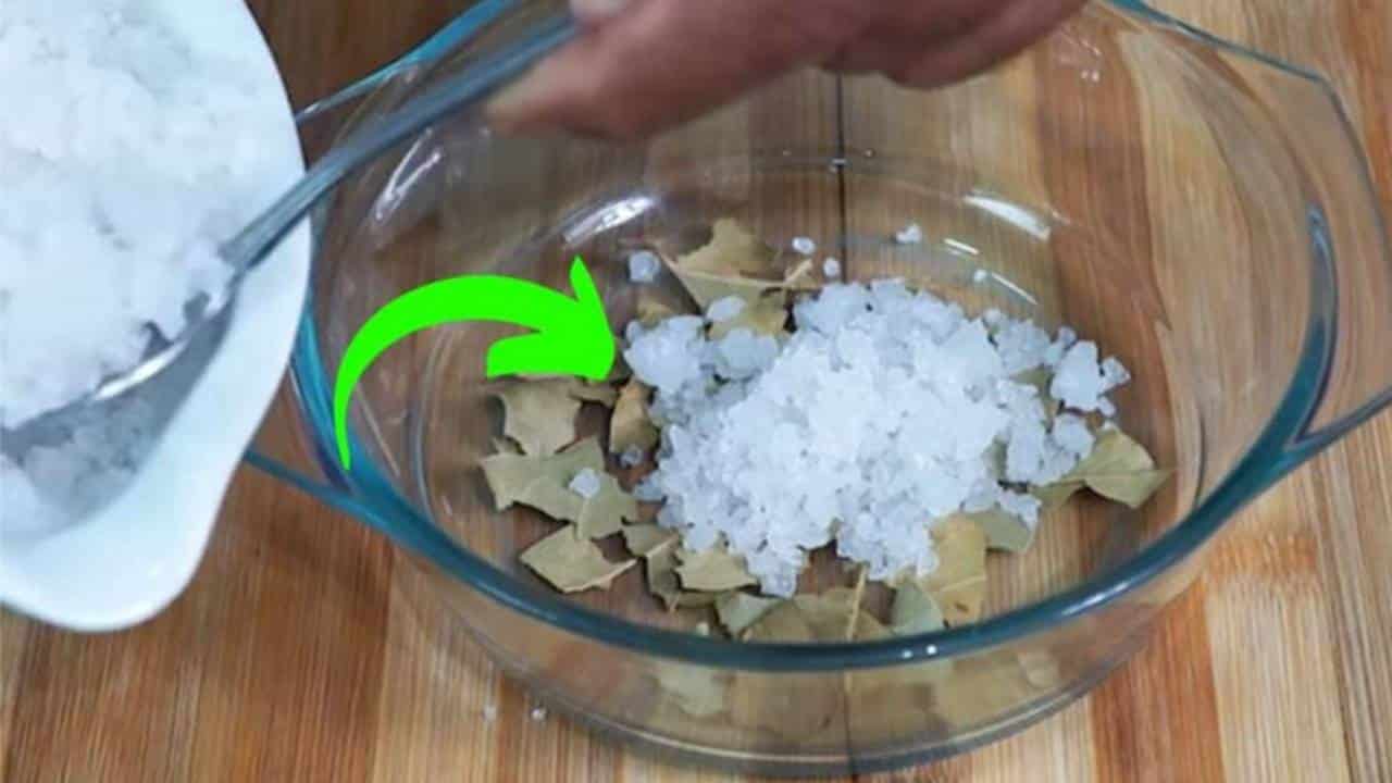 Misturar água, sal grosso e folhas de louro tem um efeito SURPREENDENTE: você não vai acreditar!