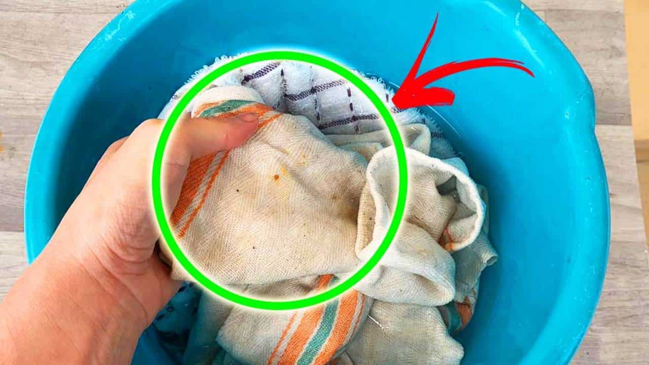 COMO lavar panos de prato com o MÉTODO da bacia?