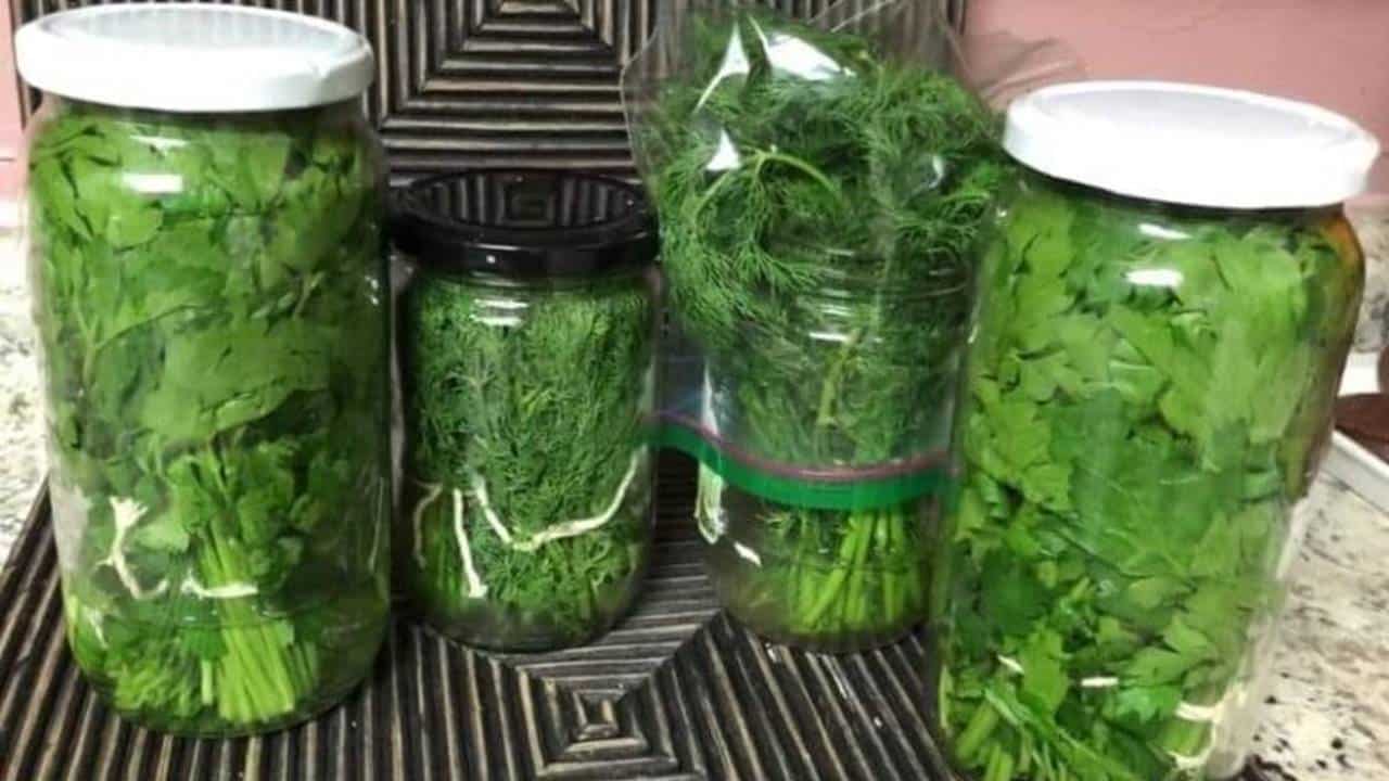 APRENDA a conservar a salsa fresca por 2 meses