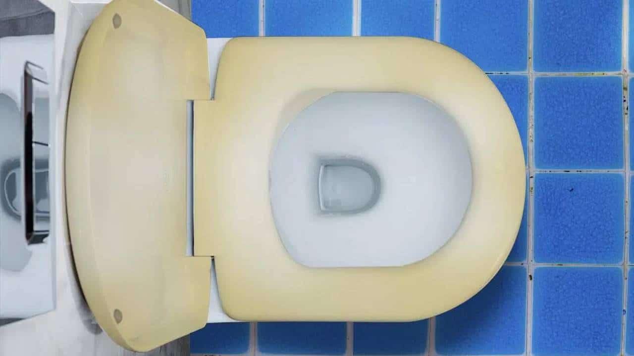 5 dicas das avós para limpar com eficácia um assento de vaso sanitário amarelado