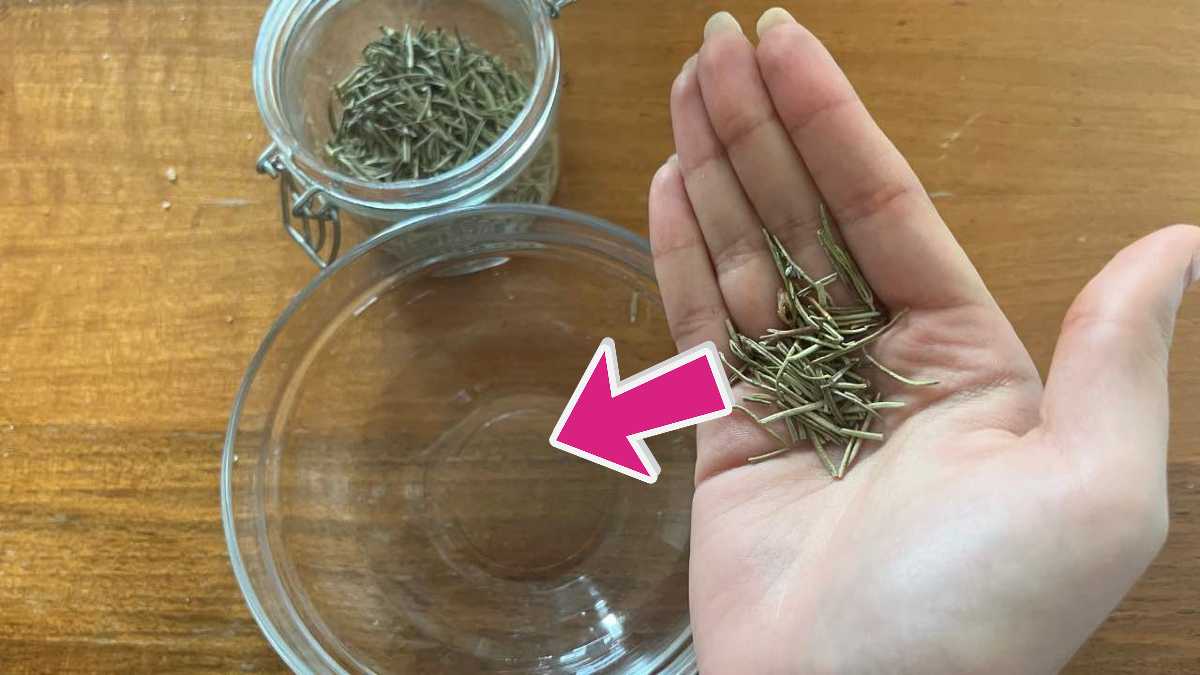 Misture álcool com alecrim e resolva um problema que TODAS as mulheres têm: você NÃO VAI conseguir ficar sem ele