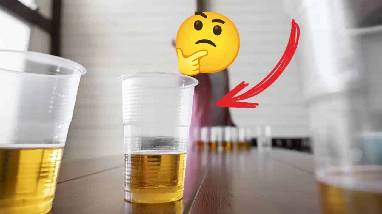 Você pode estar fazendo ERRADO sem saber: O SEGREDO que você não conhece sobre a cerveja sem álcool