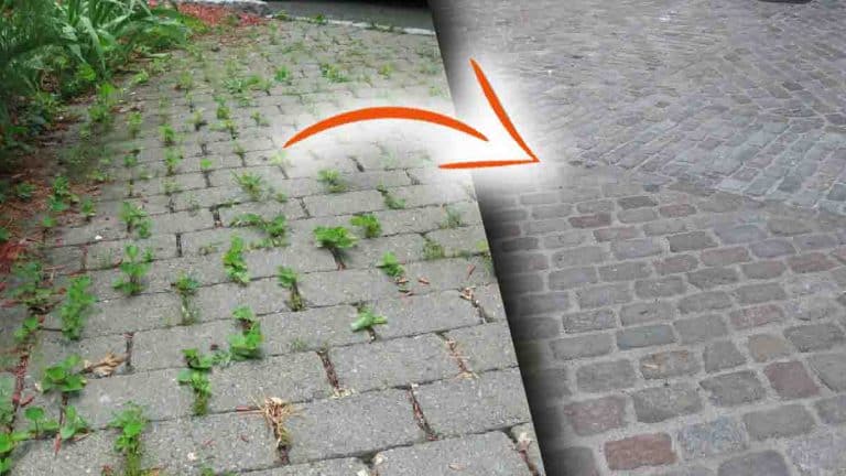 NOVA FÓRMULA POTENTE: Como remover ervas daninhas de sua calçada ou quintal?