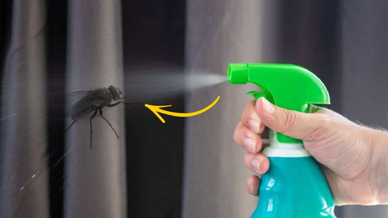 Afaste as moscas com um líquido especial e SUPER eficaz!