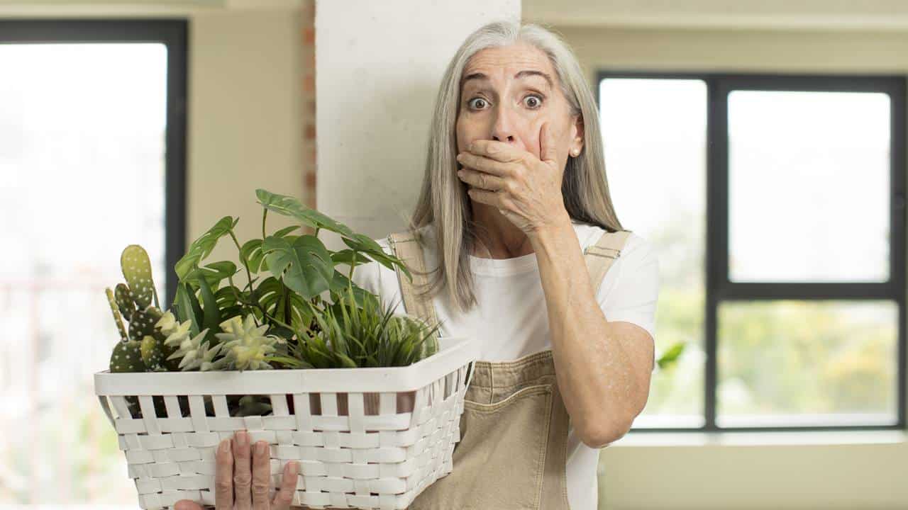 Evite estes 4 ERROS FATAIS na hora de cuidar das suas plantas em casa