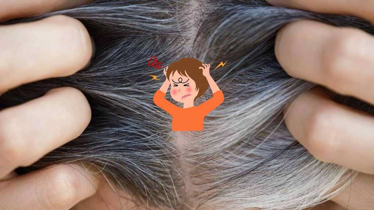 remover 1 cabelo grisalho, ganha mais