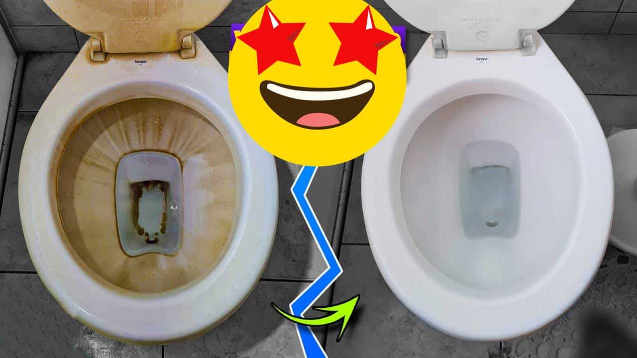 Mulher LIXA vaso sanitário e deixa ELE NOVINHO: saiba como fazer no seu banheiro!