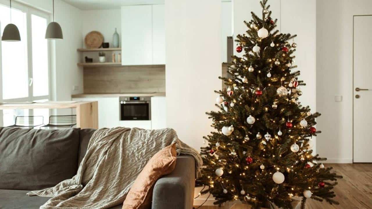 Onde colocar a Árvore de Natal para atrair boas energias?