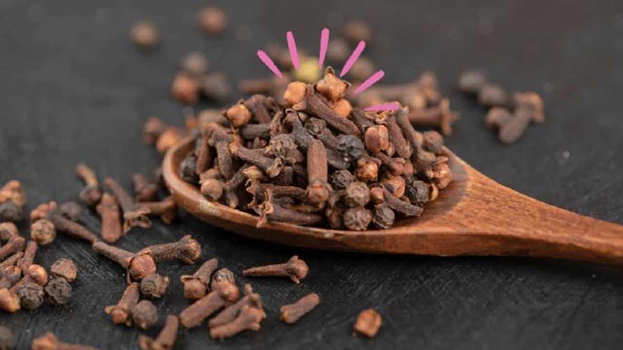 Por que você DEVE COLOCAR o cravo ao lado do travesseiro?