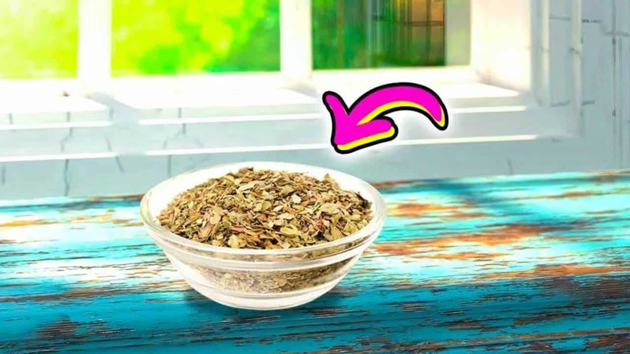 Onde colocar orégano dentro de casa para atrair abundância?