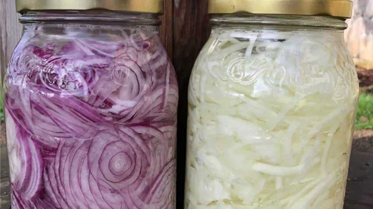 CEBOLA FERMENTADA: você já experimentou