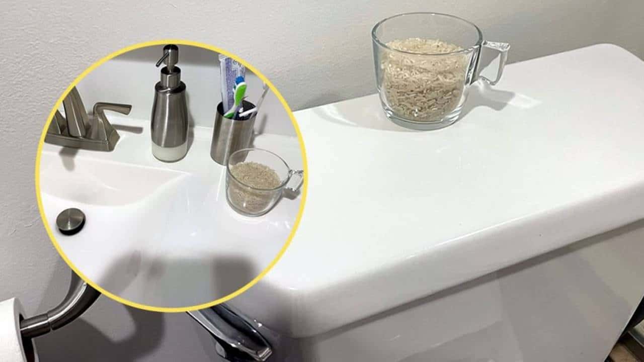 Um copo de arroz no banheiro é a solução definitiva para esse problema!