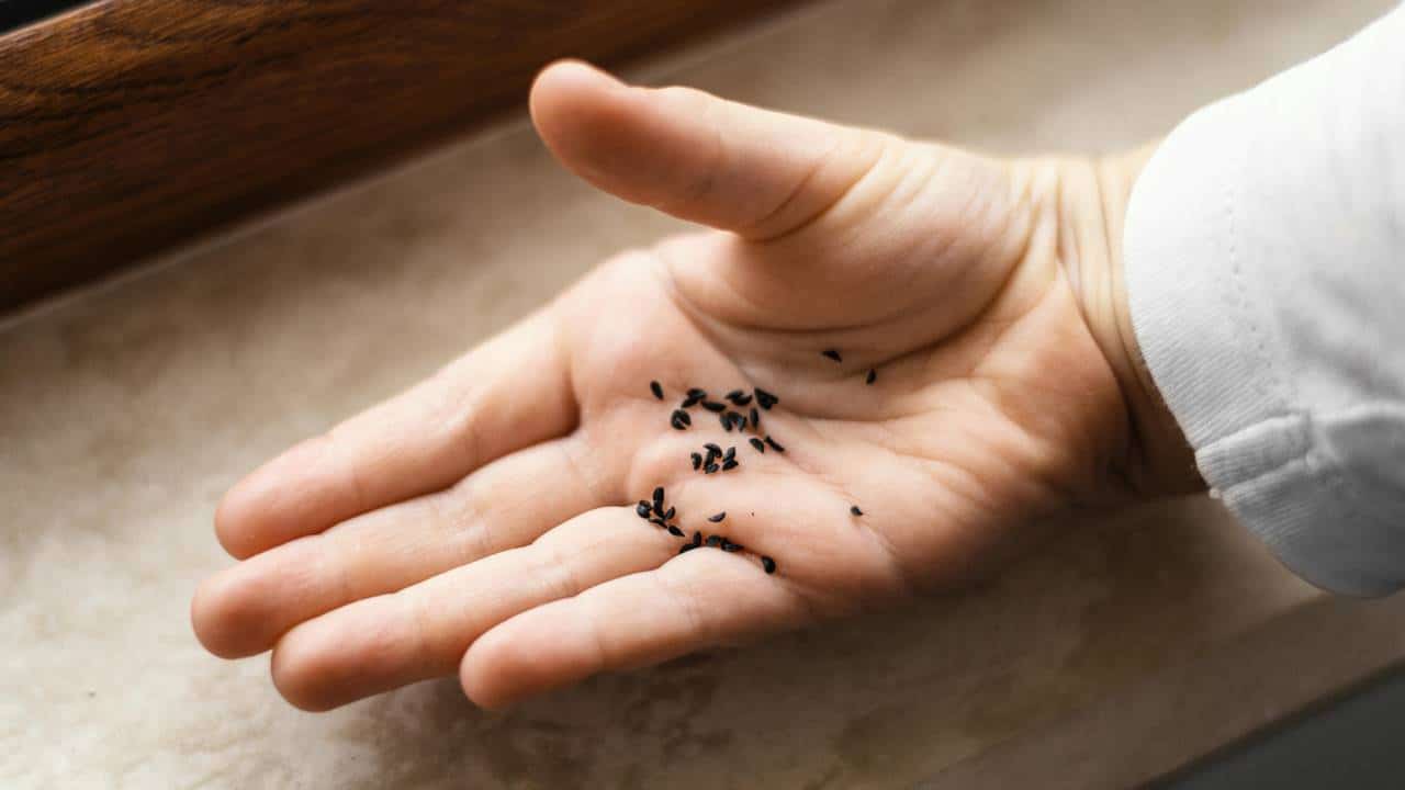 Este TRUQUE simples e eficaz afasta todos os MOSQUITOS de sua casa