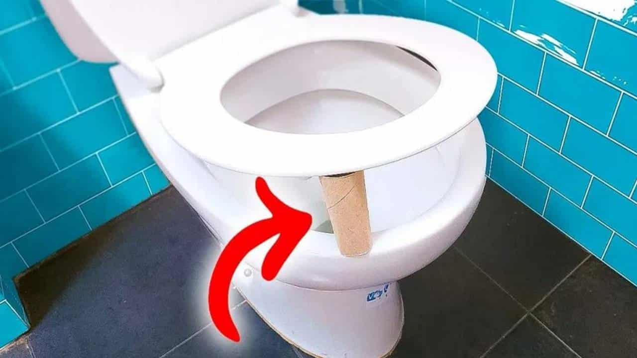 Moda chega ao Brasil e todo mundo tá colocando o rolo de papel higiênico embaixo do vaso sanitário!