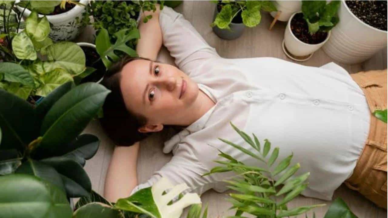 Coloque esta erva aromática nas janelas para refrescar a sua casa