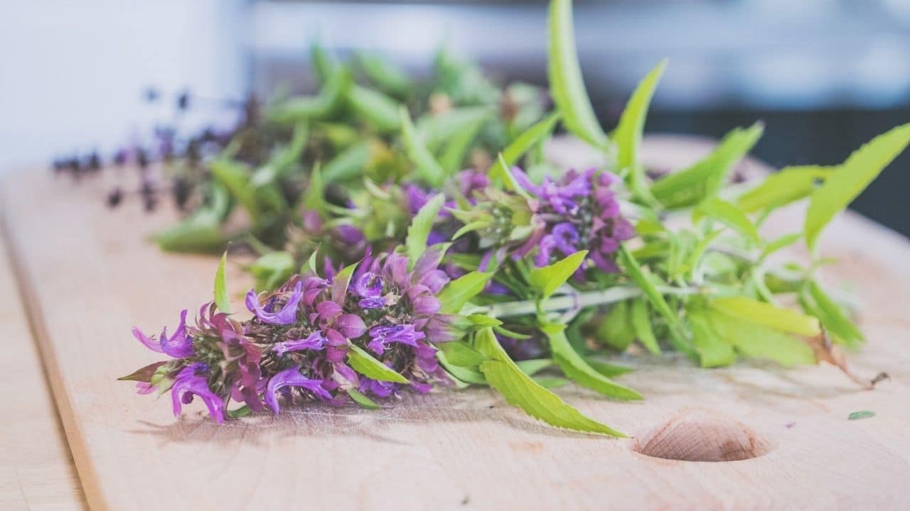 Melhor forma de preparar um poderoso inseticida feito de lavanda