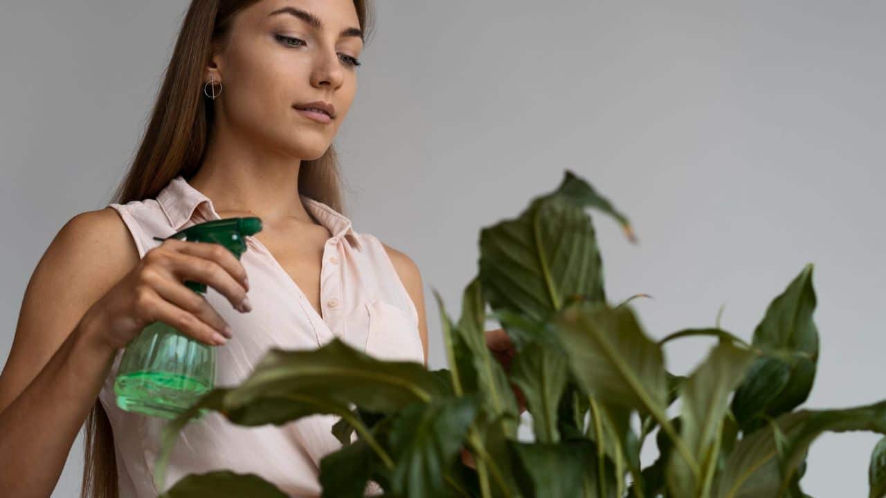 Reviva plantas murchas usando ingrediente de cozinha