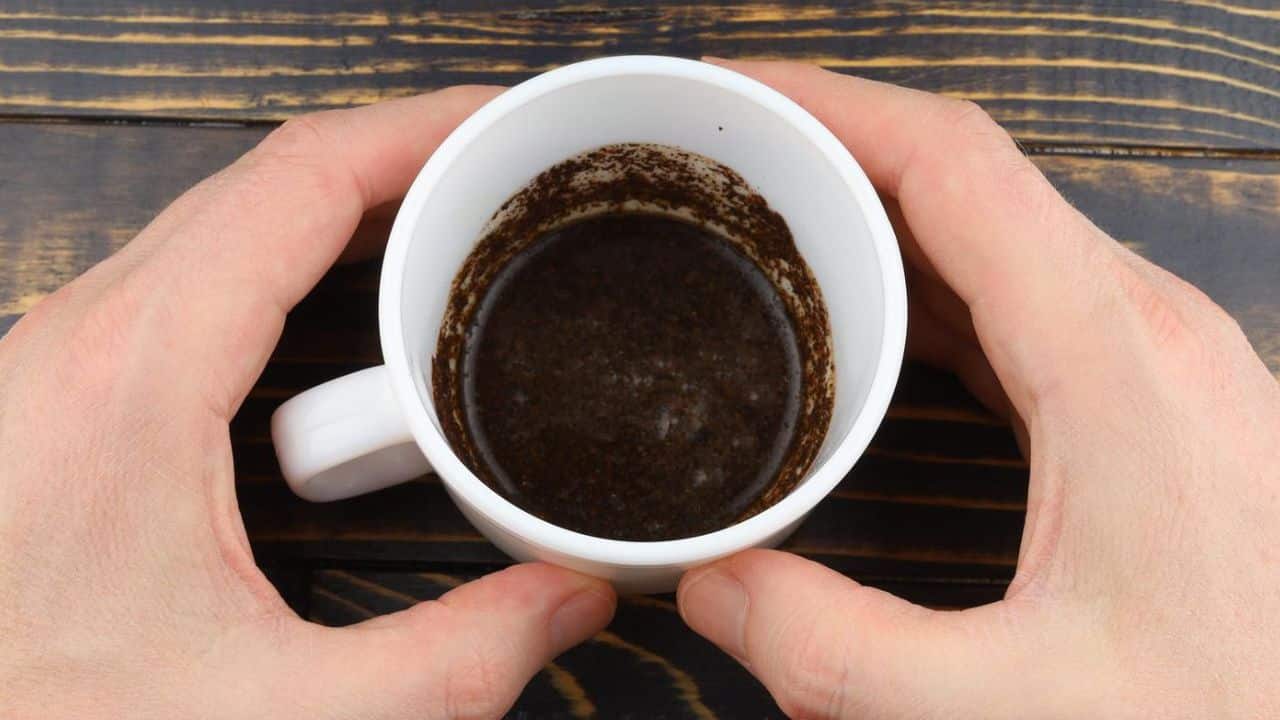 Descubra como usar borra de café como um repelente para sua casa!