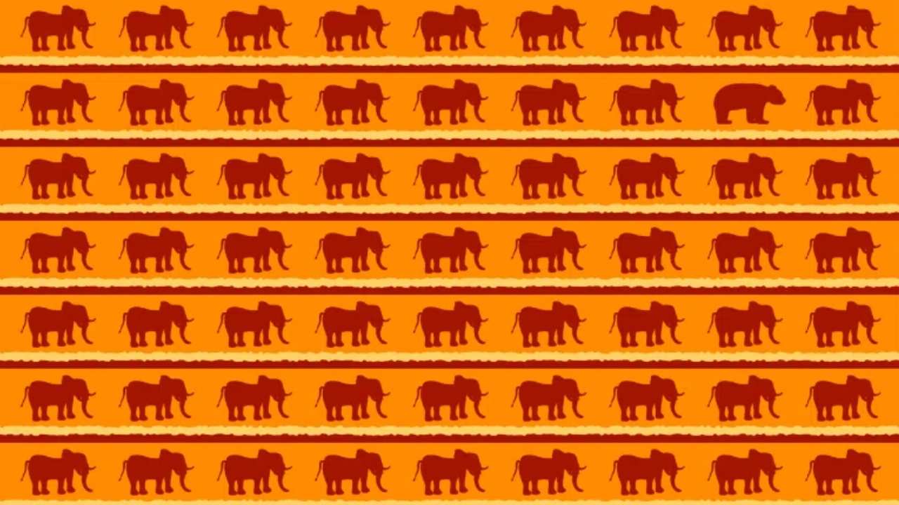 DESAFIO: Observe atentamente a imagem e encontre o panda escondido