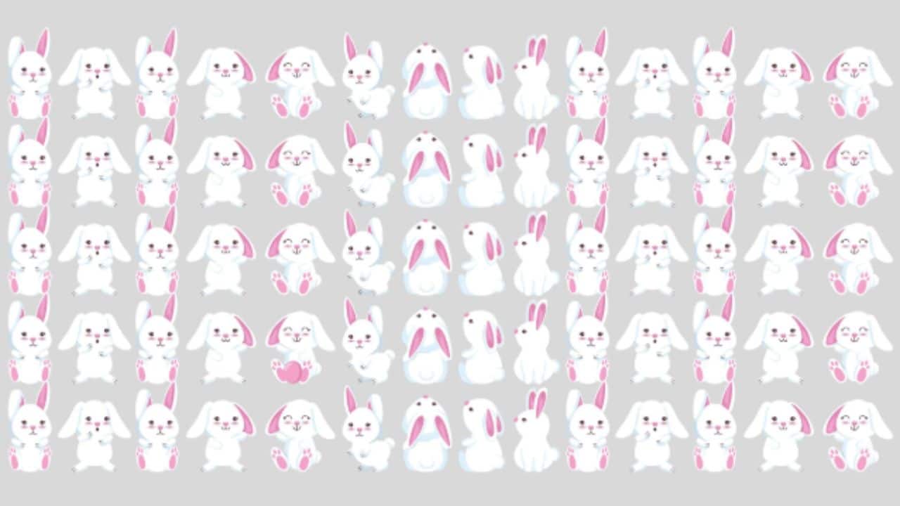 DESAFIO VISUAL: Observe os coelhos e localize um ovo em 15 segundos