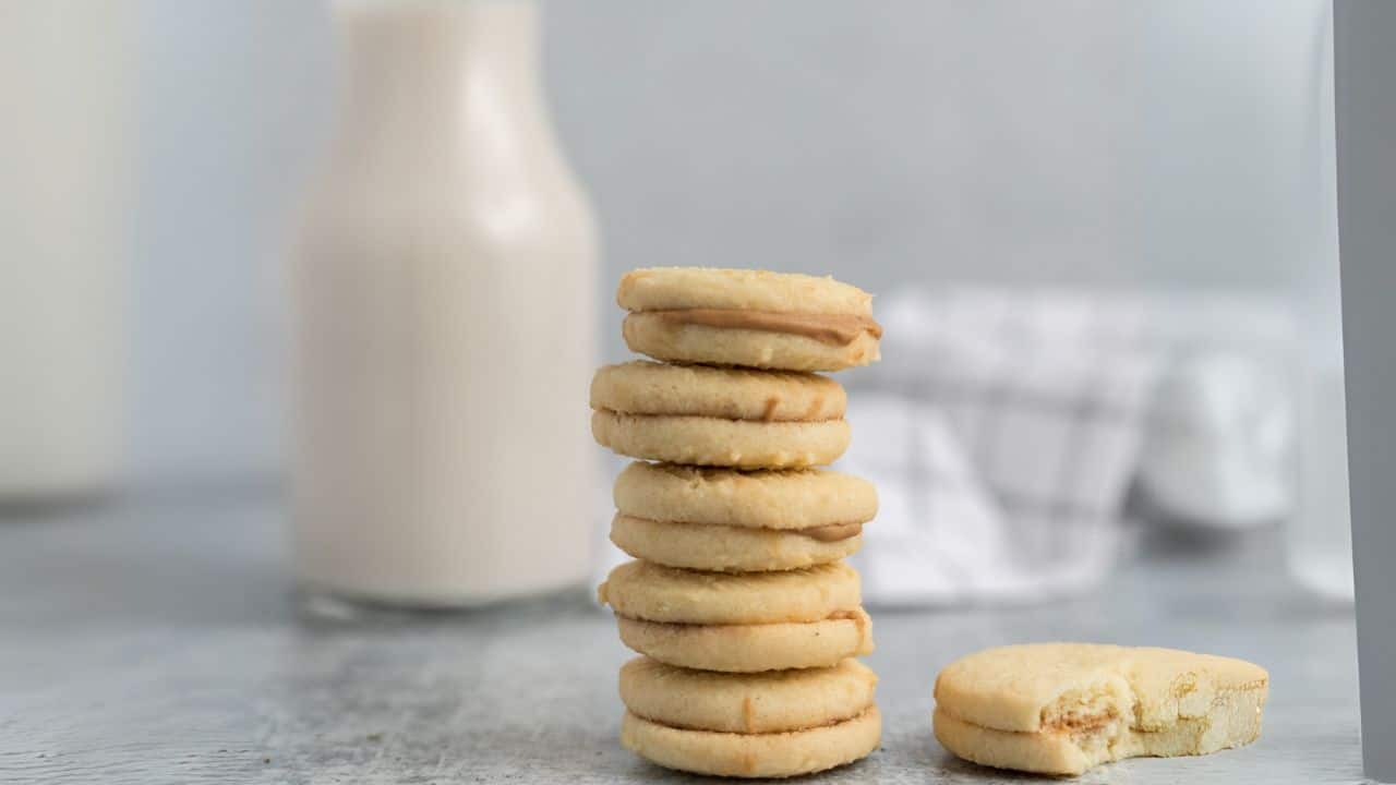 Biscoitos de iogurte sem manteiga: Macios, leves e rápidos